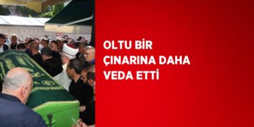 24476292572890422141