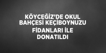 24477294672197224393tasarimli