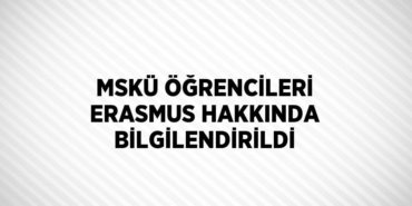 24484287152436731692tasarimli