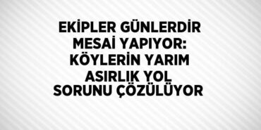 24487258713034525436tasarimli