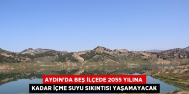 24488210052872921540tasarimli