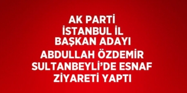 24493276962492030534tasarimli