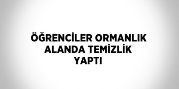 24494219612779722286tasarimli
