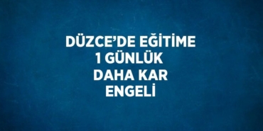 24498282982496530599tasarimli