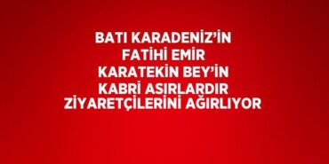 24501243883196126695tasarimli