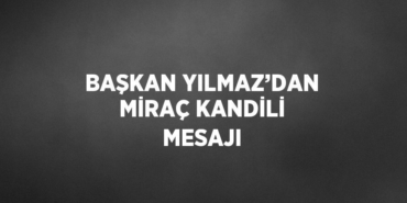 24501260302165725680tasarimli