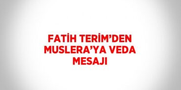 24503282352626322495tasarimli