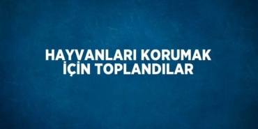 24507232763086122591tasarimli