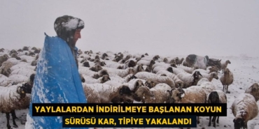 24508266942546929615tasarimli