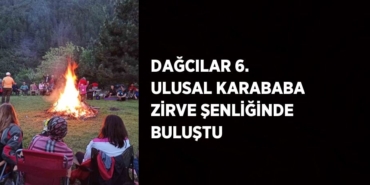 24509248633059229996