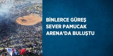 24513260912010328795