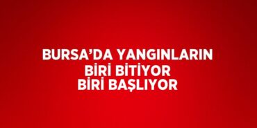 24515296322319431926tasarimli