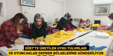 24517268002478131637tasarimli