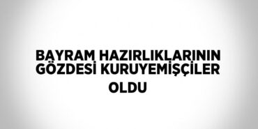 24519201442187530231tasarimli
