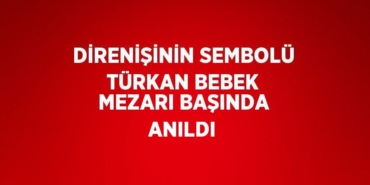 24526217673116826364tasarimli