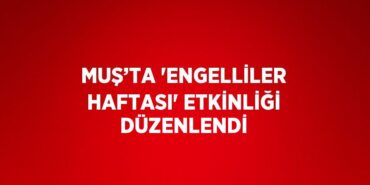 24531315002473526201tasarimli