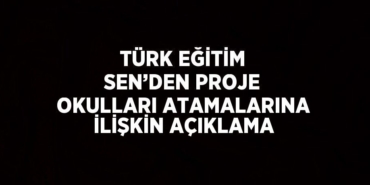 24533289472488020784tasarimli