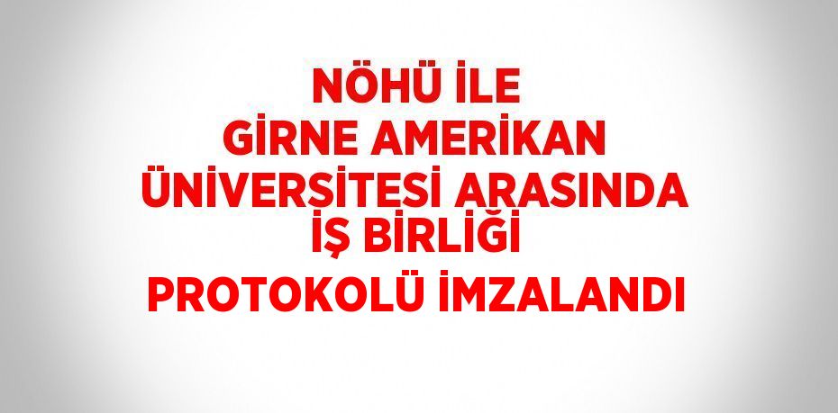 24534221332600027185tasarimli