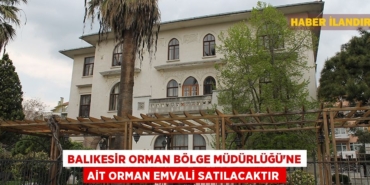 24537229602929831843tasarimli