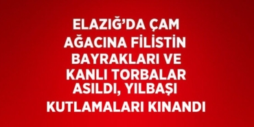 24542283052616424565tasarimli