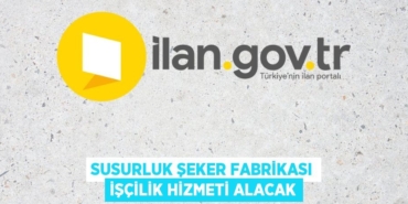 24548296693133831296tasarimli