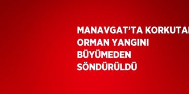 24549265362338521038