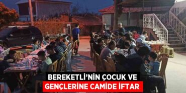 24561209572085328153tasarimli