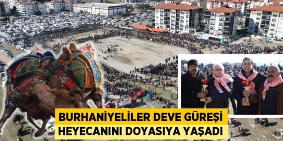 BURHANİYELİLER DEVE GÜREŞİ HEYECANINI DOYASIYA YAŞADI