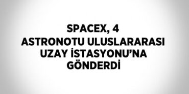 24562261382215727124tasarimli