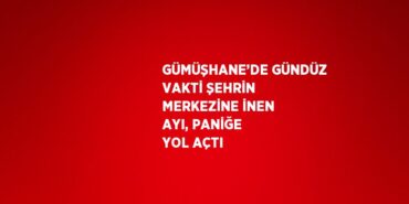 24565203772867729404