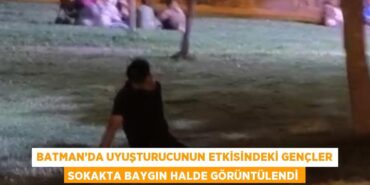 24566301413147325739tasarimli