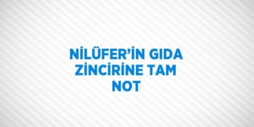 24567252762716422231tasarimli