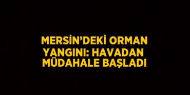 24577210892686229783tasarimli