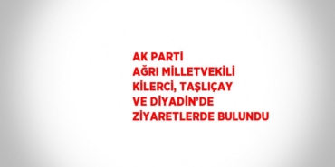 24579255992017528717