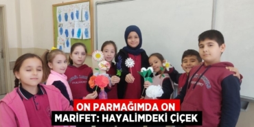 24589282132659321994tasarimli