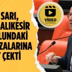 24590283862076525696