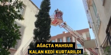 24591231923028422327tasarimli