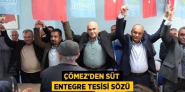 24593215113057725549tasarimli
