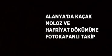 24596251312387731600