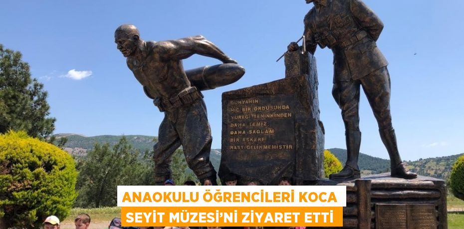 24596311923005330180tasarimli