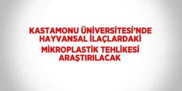 24598282002552922807tasarimli