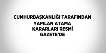 24599268242919528211tasarimli