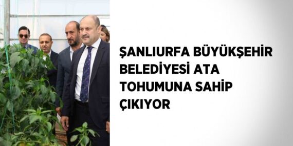 ŞANLIURFA BÜYÜKŞEHİR BELEDİYESİ ATA TOHUMUNA SAHİP ÇIKIYOR
