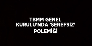 24604257132930523324tasarimli
