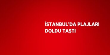 24606201002911831561