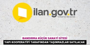 24611263782155627869tasarimli