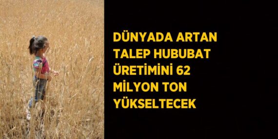 DÜNYADA ARTAN TALEP HUBUBAT ÜRETİMİNİ 62 MİLYON TON YÜKSELTECEK
