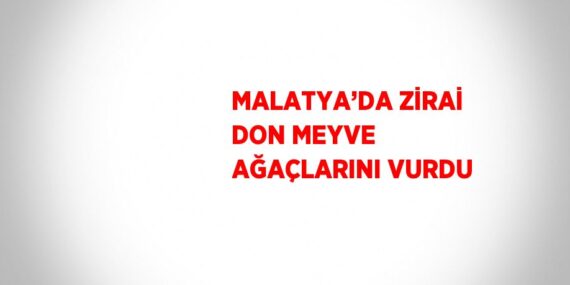 MALATYA’DA ZİRAİ DON MEYVE AĞAÇLARINI VURDU