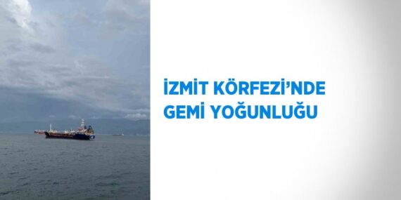 İZMİT KÖRFEZİ’NDE GEMİ YOĞUNLUĞU
