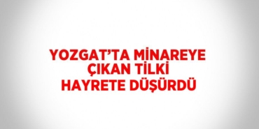 24617234282801922382tasarimli